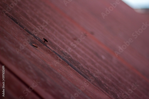 Pinrang, Sulawesi Selatan Indonesia.
Photo of rusty zinc tile.
December 6 2020 photo