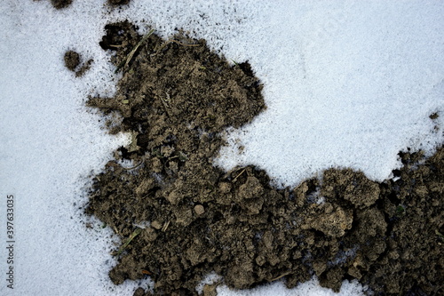snow on frozen soil in winter