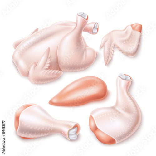 Vector 3d raw chicken meat set for menu design