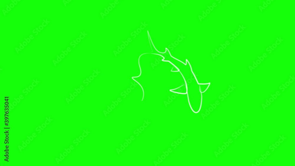 Diver and shark in one line. White line animation on green background Diver and shark in one line. White line animation on green background