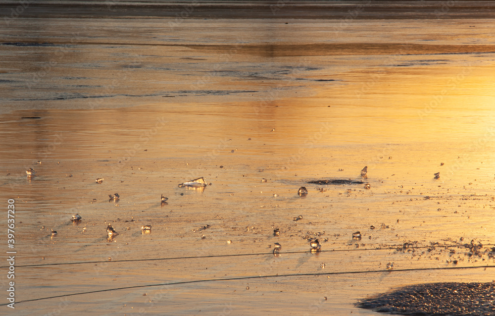 Ice floes against the background of the reflection of a golden sunset in the frozen river Staritsa Ice floes against the background of the reflection of a golden sunset in the frozen river Staritsa