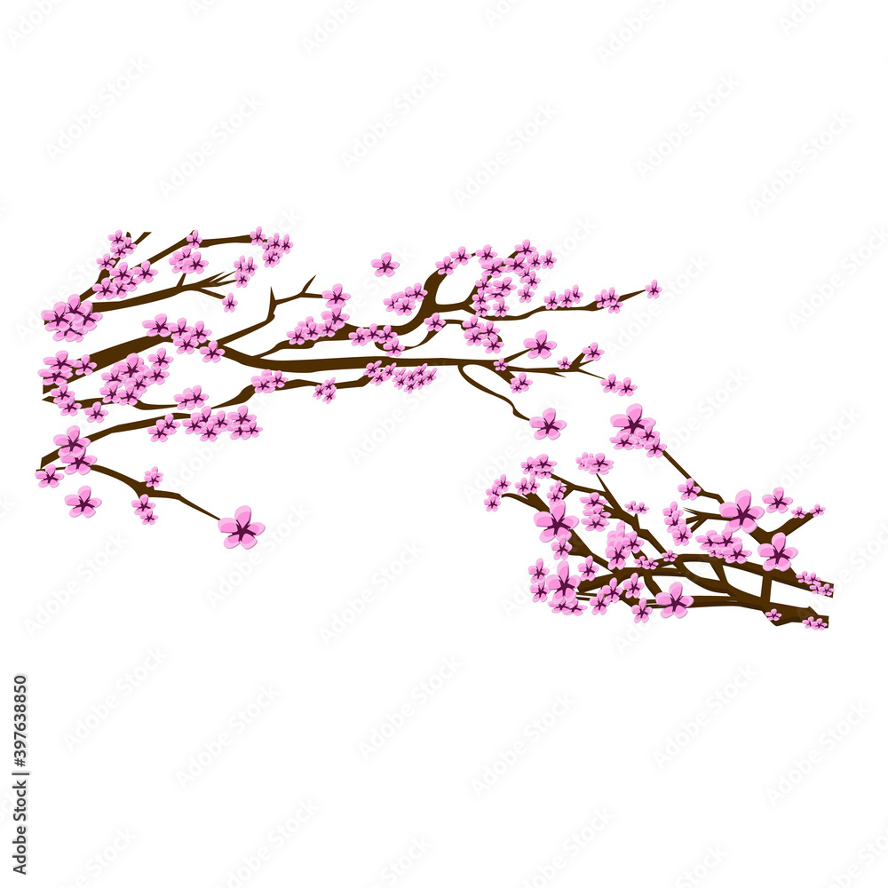 lovely branch of sakura on an isolated background in vector lovely branch of sakura on an isolated background in vector