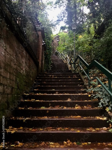 Fototapeta Naklejka Na Ścianę i Meble -  stairway to heaven