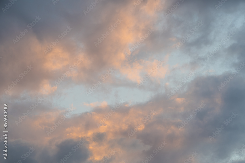 Panoramic view of pink clouds in sunset sky