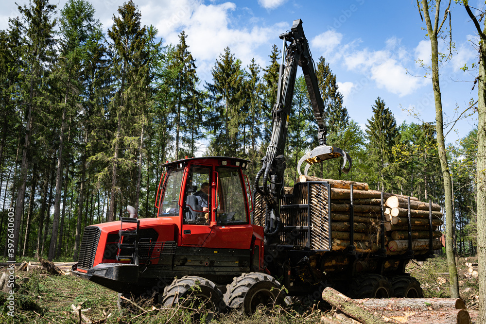 Borkenkäfer - Waldsterben, Vorwarder räumt gefälltes Fichtenholz aus dem Wald.  Forsttechnisches Symbolfoto.