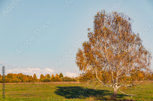Autumn landscape with yellow trees and clouds