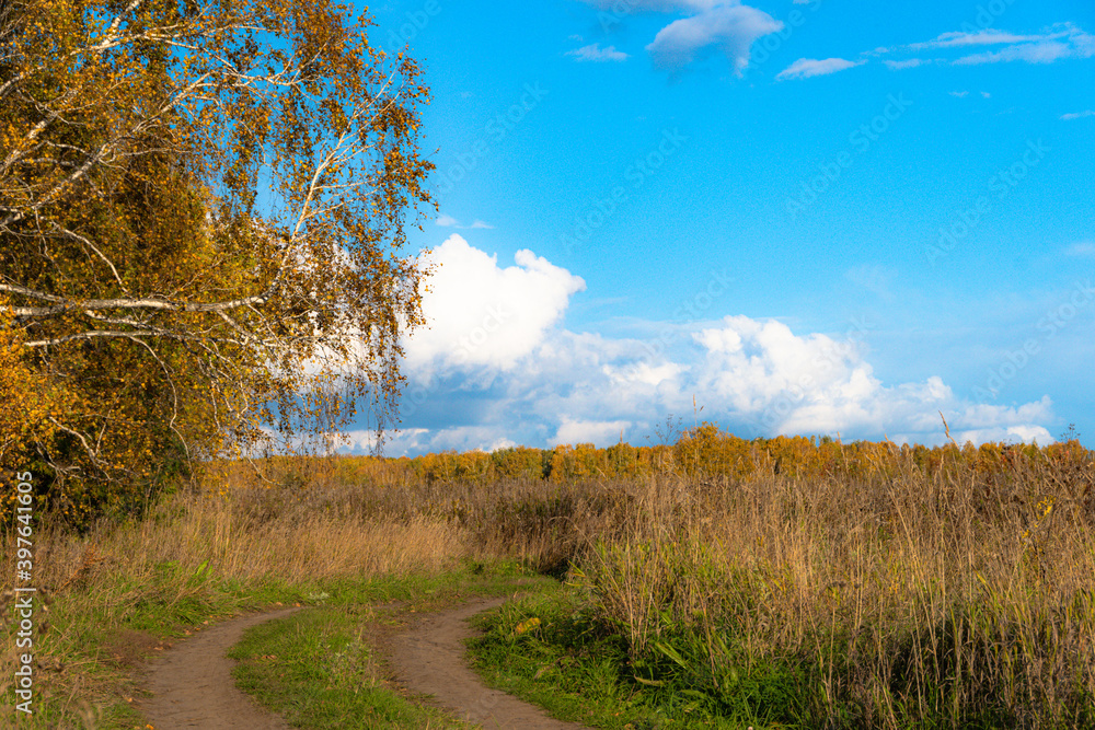 Fototapeta premium Autumn landscape with dirt road. Rural road in autumn field under cloudy sky.