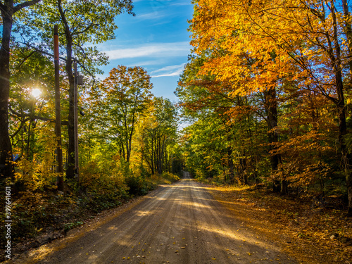 Dirt road thorugh the autumn forest