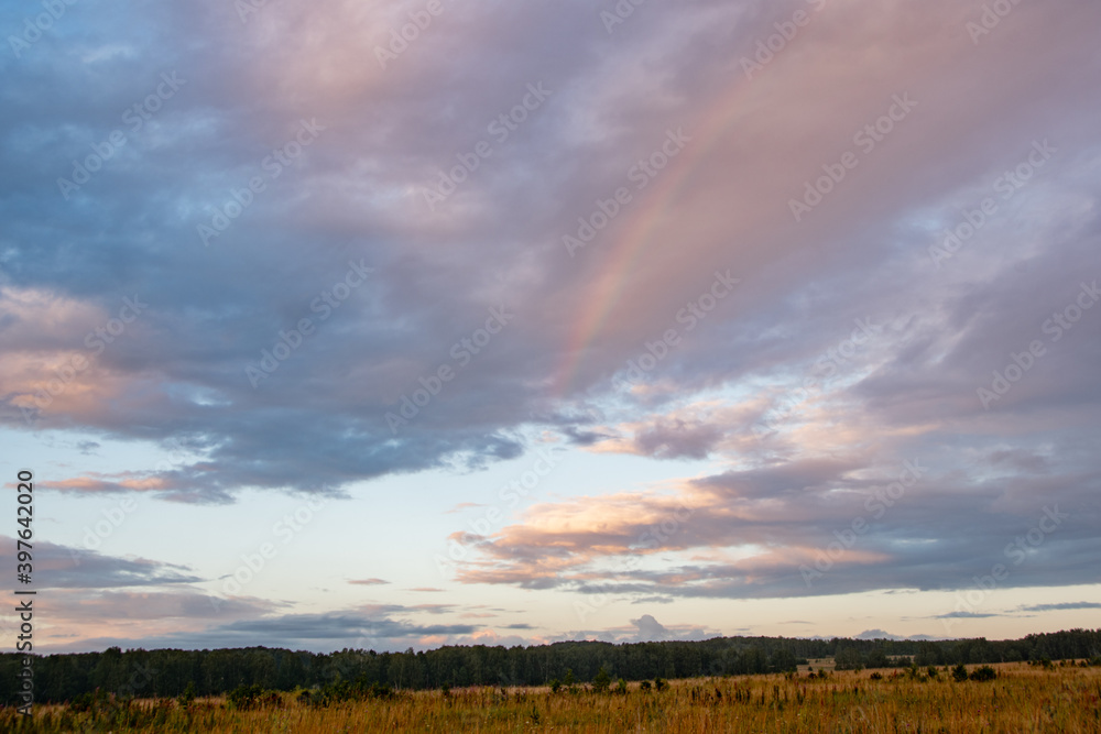 Panoramic view of pink clouds in sunset sky