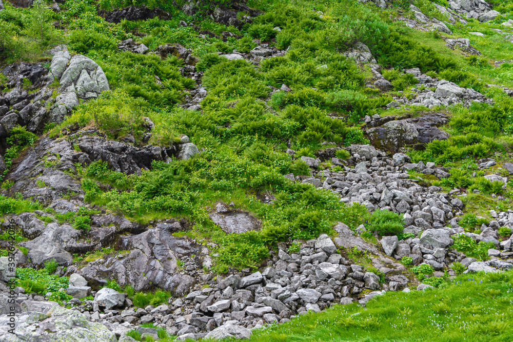Hillside covered with rocks and green grass Hillside covered with rocks and green grass