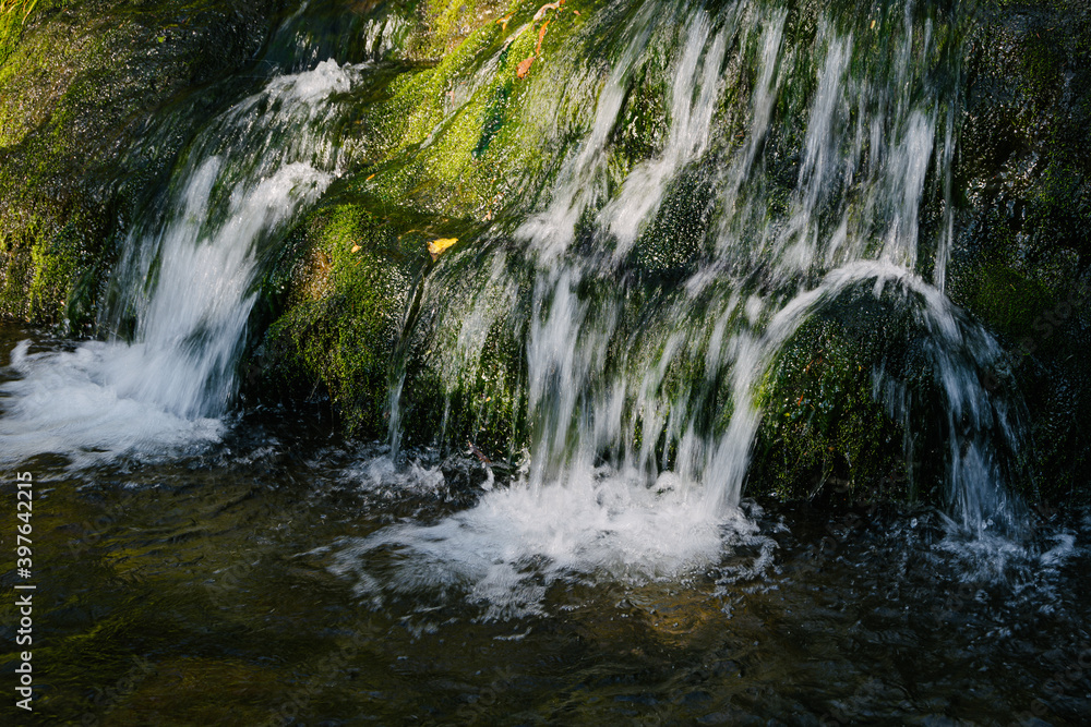 Naklejka premium Small cozy waterfall in forest on sunny day. Mountain river falls from cliff onto rocks, rushing stream of water.