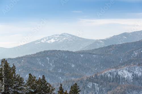 Gentle hills are covered with snow forest. View of mountain valley on winter day © Koirill