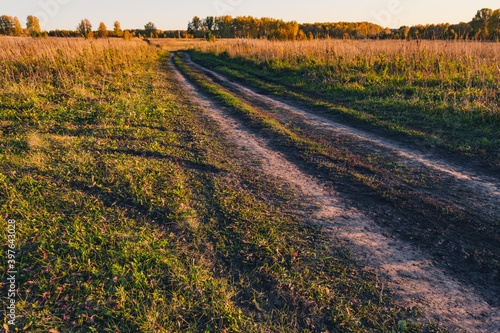 Autumn landscape with dirt road. Rural road in autumn field under cloudy sky.