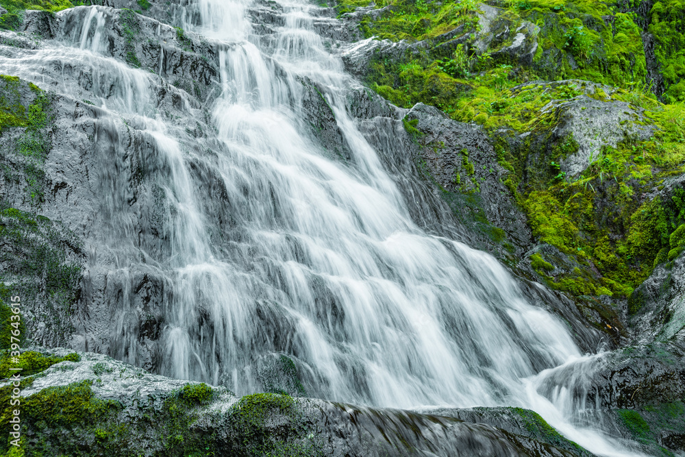 Obraz premium Waterfall among green grass. Mountain stream on mossy boulders in summer rainforest. Alpine cascade of rapid flow