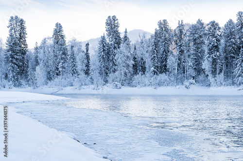 Snow forest on hillside on bank of frozen river © Koirill