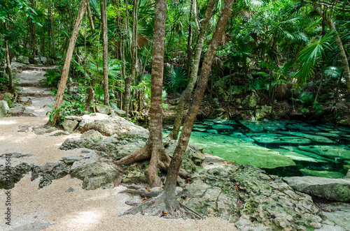 path in tropical rainforest - Riviera Maya, Yucatan, Mexico