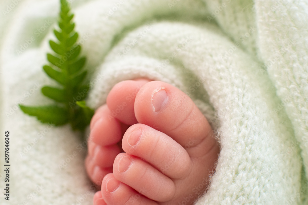Feet of a newborn baby with a leaf of a fern plant on a green background. close-up Feet of a newborn baby with a leaf of a fern plant on a green background. close-up