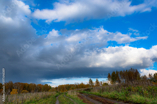 Fototapeta Naklejka Na Ścianę i Meble -  Autumn landscape with dirt road. Rural road in autumn field under cloudy sky.