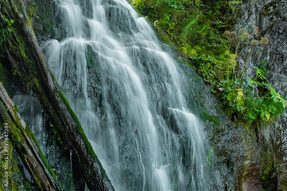 Waterfall among green grass. Mountain stream on mossy boulders in summer rainforest. Alpine cascade of rapid flow