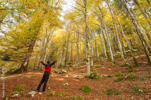 A trekker walking solo  among the forest in a sunny atumnal  day photo