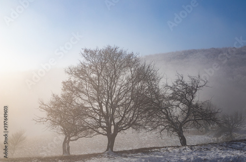 amazing winter landscape with fog and frosty trees in  Romania © Melinda Nagy