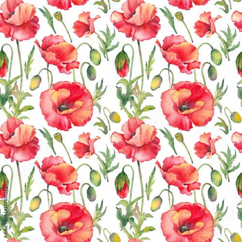 Seamless pattern with red poppy flowers.