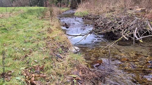 Wasser Fluss Bach Wald