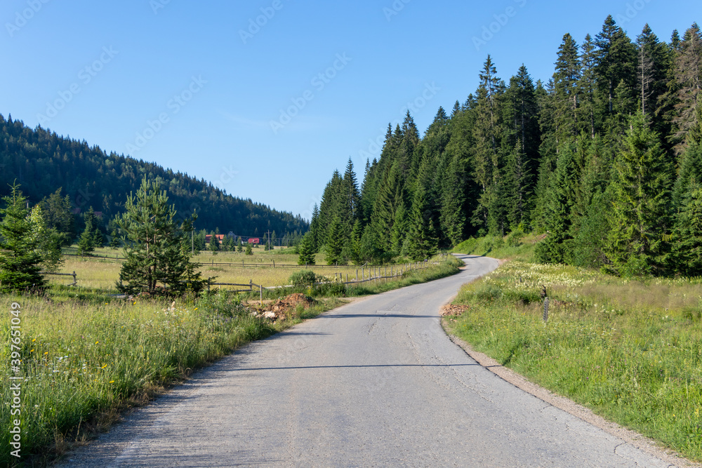 Long Curvy Forest Road In Tara Mountains, Serbia