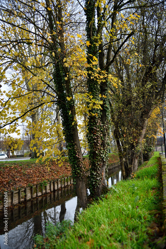 Couleurs en ville