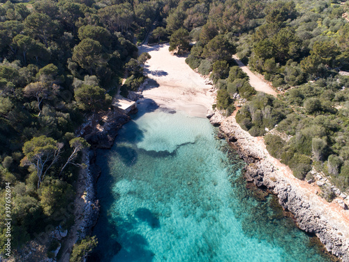 Drone picture of a small beach with perfect water and white sand surrounded by a forest in Majorca, Balearic Islands. Cala Sa Nau