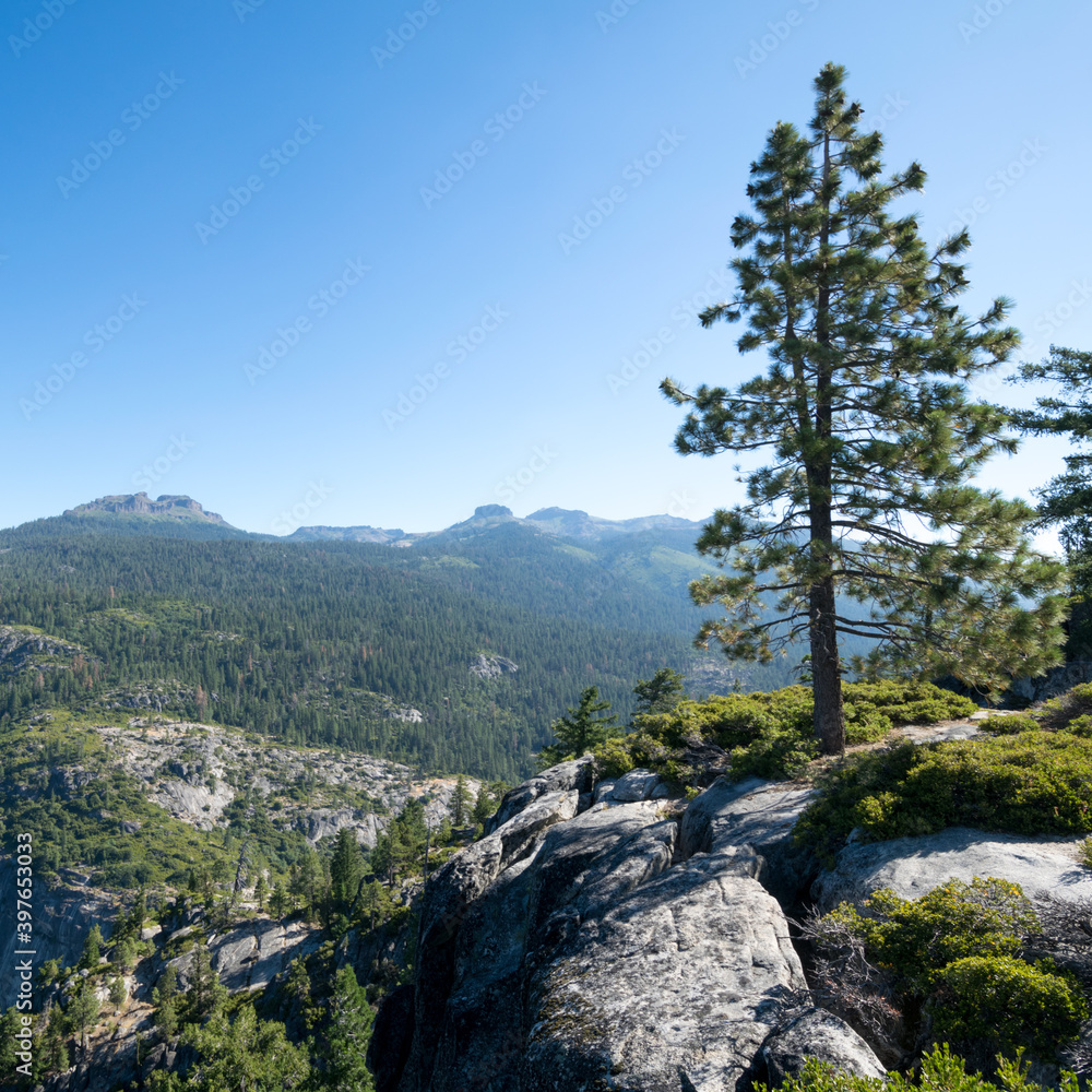 Sonoma Pass