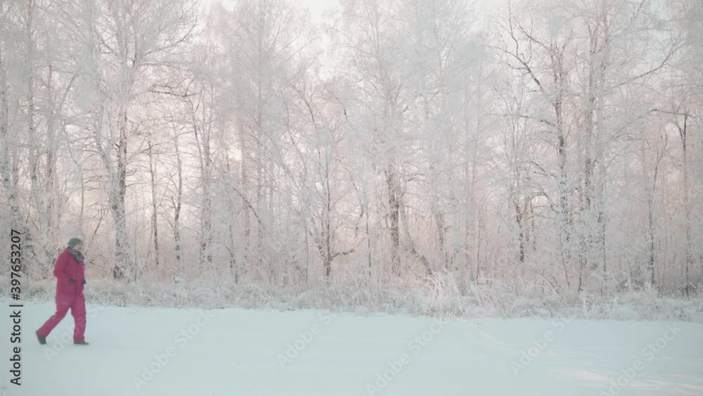 A man walks through a winter forest with snow covered trees on a beautiful frosty morning A man walks through a winter forest with snow covered trees on a beautiful frosty morning