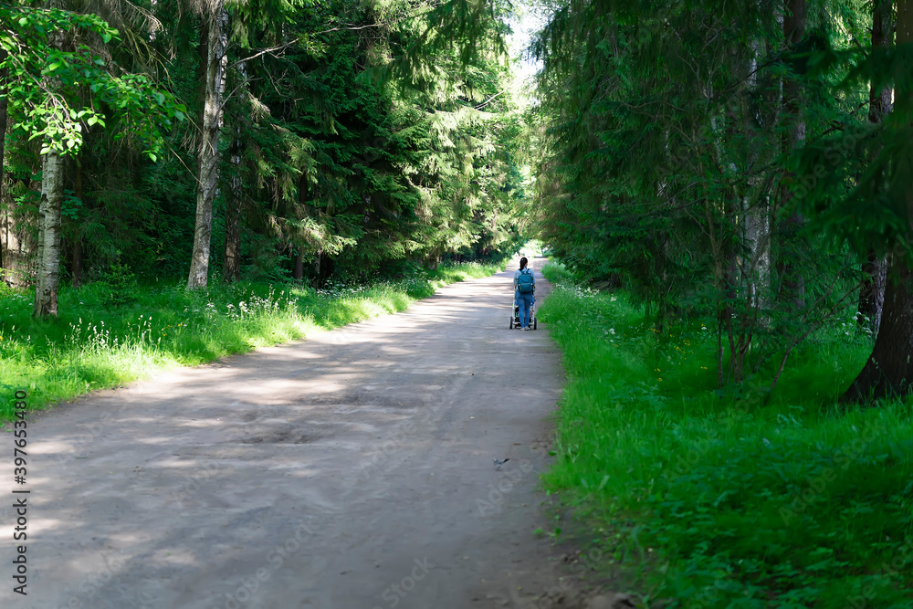 Woman with a pram strolls in the forest Woman with a pram strolls in the forest