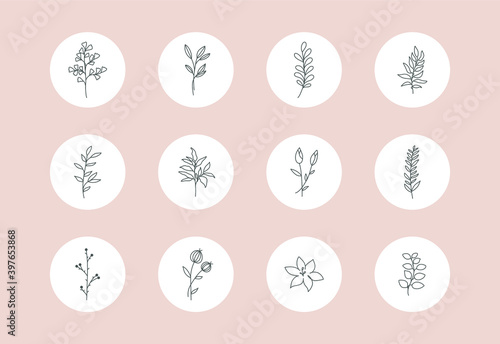 Feminine flower story highlight covers. Abstract botanical line leaf branch icons for social media boho style. Vector illustration