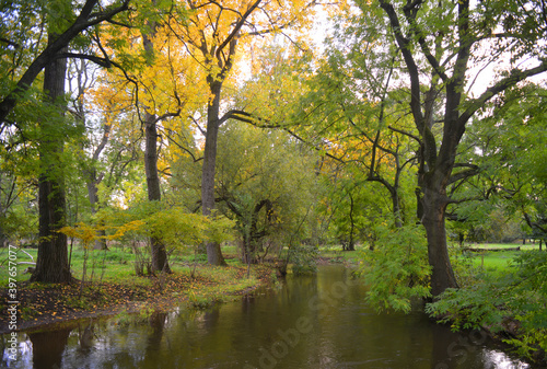 Autumn landscape with colorful leaves on a tree and river in Saxon Anhalt, Germany © Sinuswelle