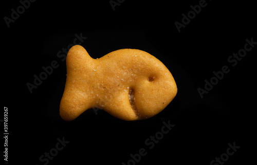 goldfish cracker
