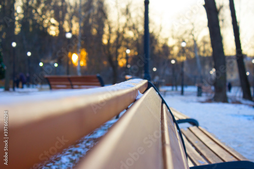 Wallpaper Mural a bench in a city park Torontodigital.ca