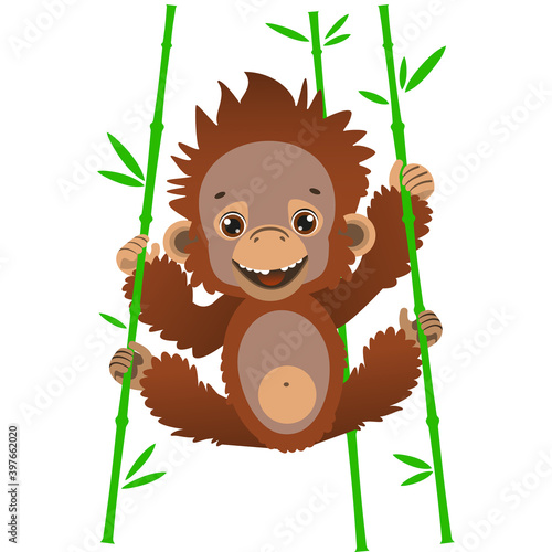 A cute baby orangutan hangs on bamboo stalks. Fauna of the rain forests of Asia. Vector illustration. Cartoon style.