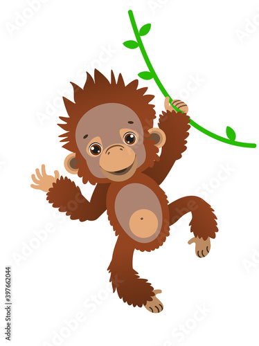A cute baby orangutan sways on a liana. Fauna of the rain forests of Asia. Vector illustration. Cartoon style.