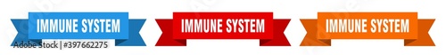 immune system ribbon. immune system isolated paper sign. banner