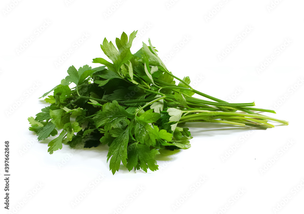 Bunch of fresh parsley leaves isolated on white background. Several sprigs of leaf celery. Ingredient for aromatic dishes. Element for packaging design of mix plants, dry seasoning. Side view. Bunch of fresh parsley leaves isolated on white background. Several sprigs of leaf celery. Ingredient for aromatic dishes. Element for packaging design of mix plants, dry seasoning. Side view.
