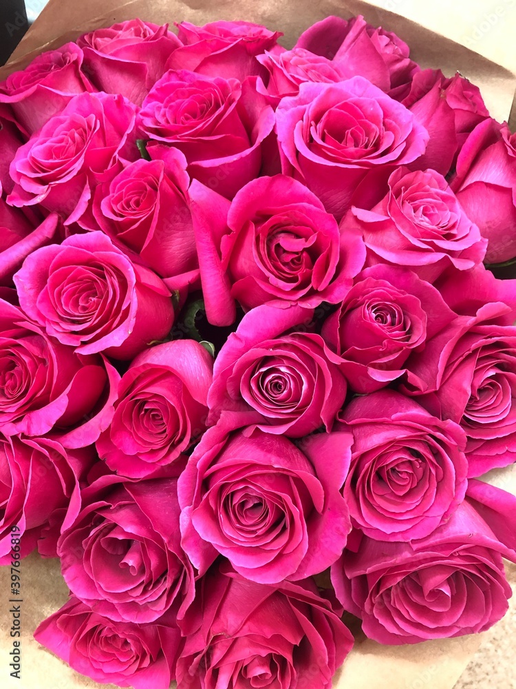 bouquet of roses bouquet of roses