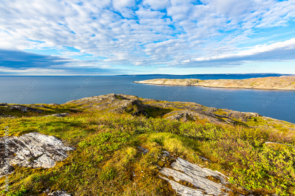 Beautiful arctic summer landscape on Barents sea