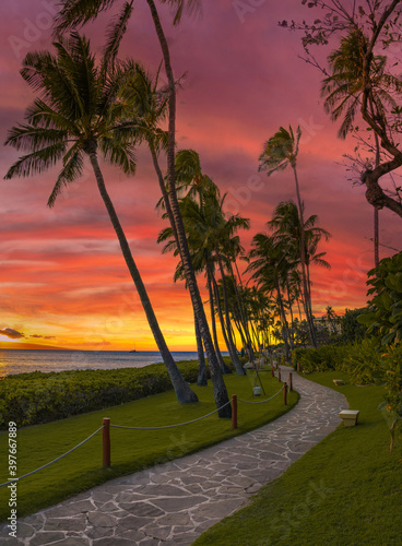 boardwalk in Hawaii during sunset photo