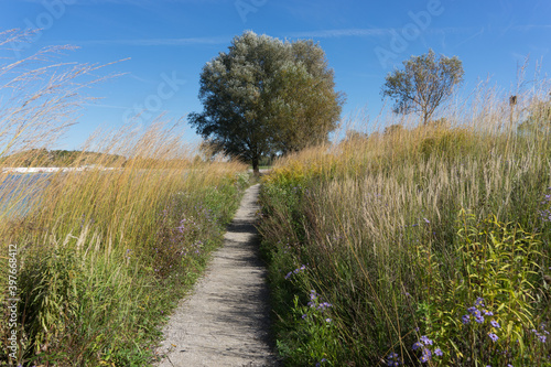 Fototapeta Naklejka Na Ścianę i Meble -  Beautiful scenic landscape in the green 