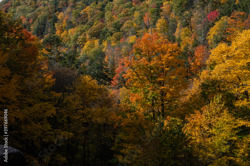 Katerskill mountain