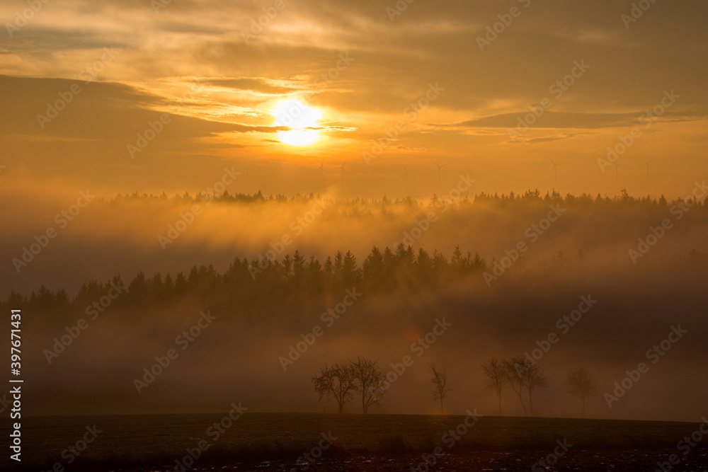 Obraz premium Sonnenaufgang im Herbstnebel