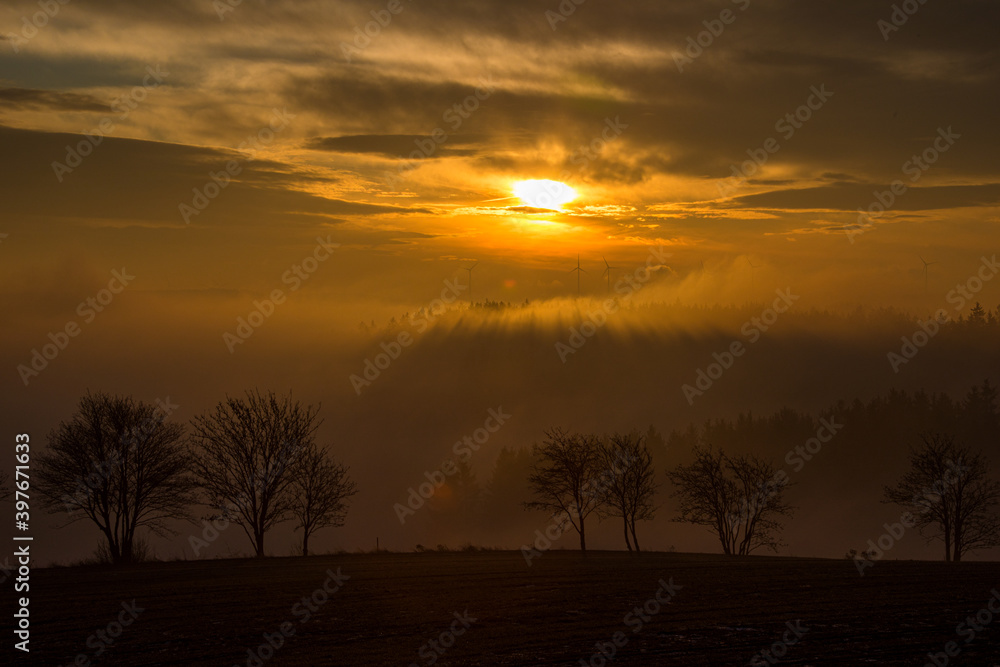 Sonnenaufgang im Herbstnebel Sonnenaufgang im Herbstnebel