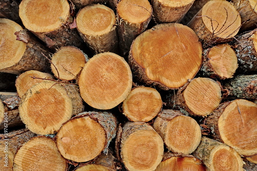 heap of lumber in outdoor storage area