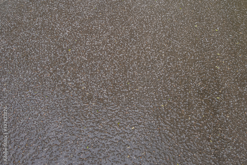 Fototapeta premium abstract background of wet asphalt texture after rain with hail close up